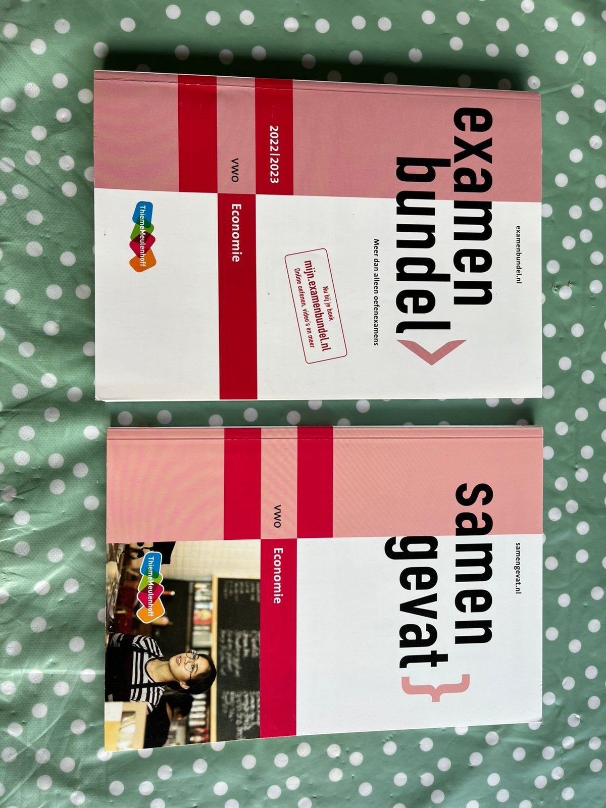 Examenbundel + Samengevat Economie 2022-2023 VWO, Boeken, Ophalen of Verzenden, Zo goed als nieuw, VWO, Economie