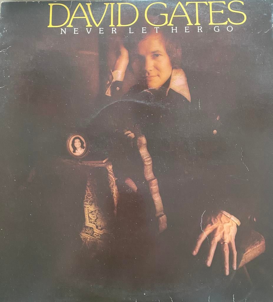 LP David Gates, Ophalen of Verzenden, 12 inch