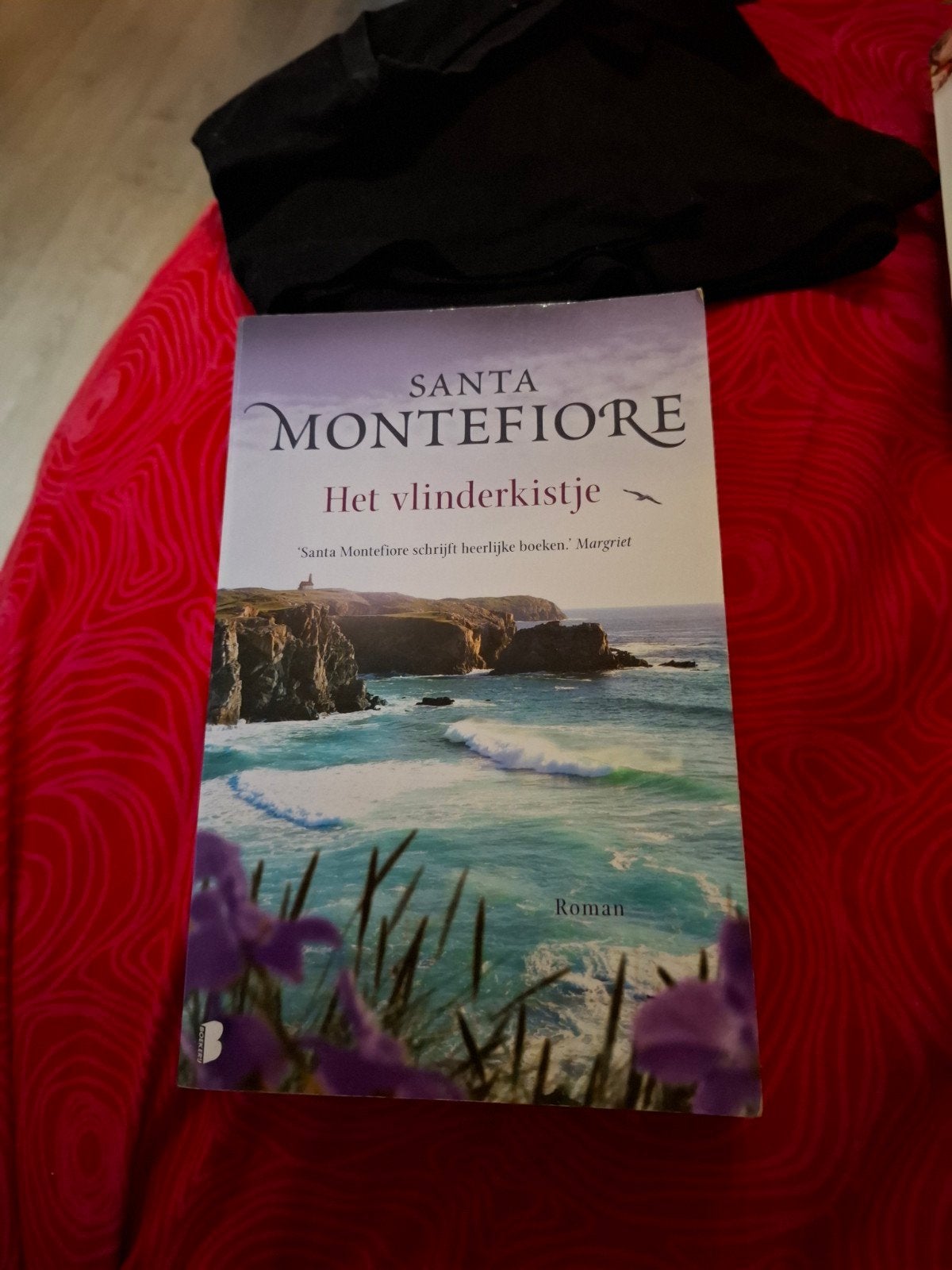 Het vlinderkistje - Santa Montefiore (Roman), Boeken, Ophalen of Verzenden, Gelezen, Santa Montefiore