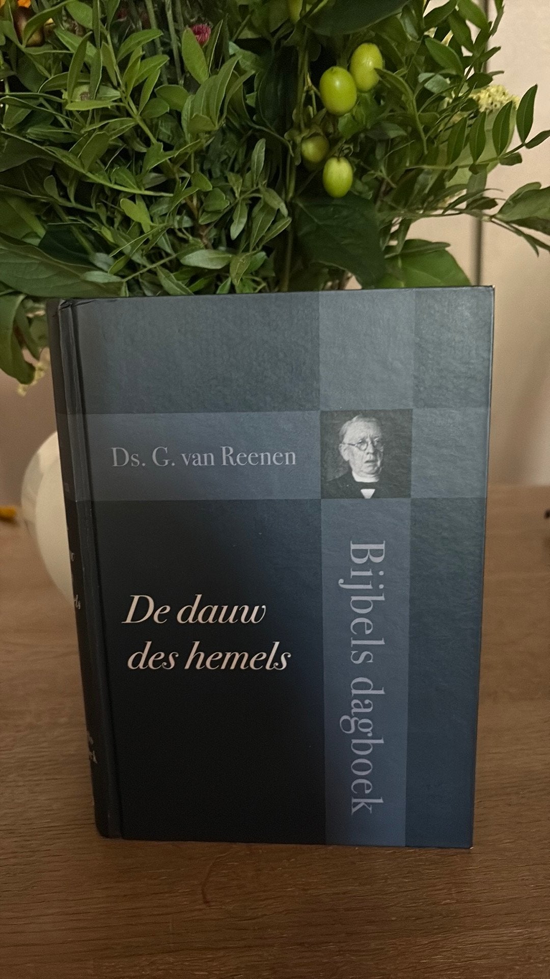 KR-1 Ds. G. van Reenen - De dauw des hemels, Ophalen of Verzenden, Gelezen, Ds. G. van Reenen