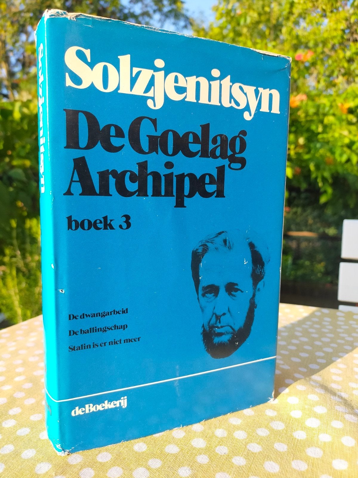 De Goelag Archipel Boek 3 - Aleksandr Solzjenitsyn HARDCOVER, Gelezen, Europa overig, Aleksandr Solzjenitsyn, Ophalen of Verzenden