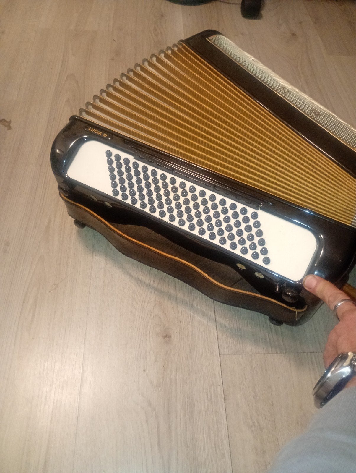 Hohner Lucia III Accordeon met koffer en bladmuziek, Gebruikt, Met koffer, Hohner, 120-bas