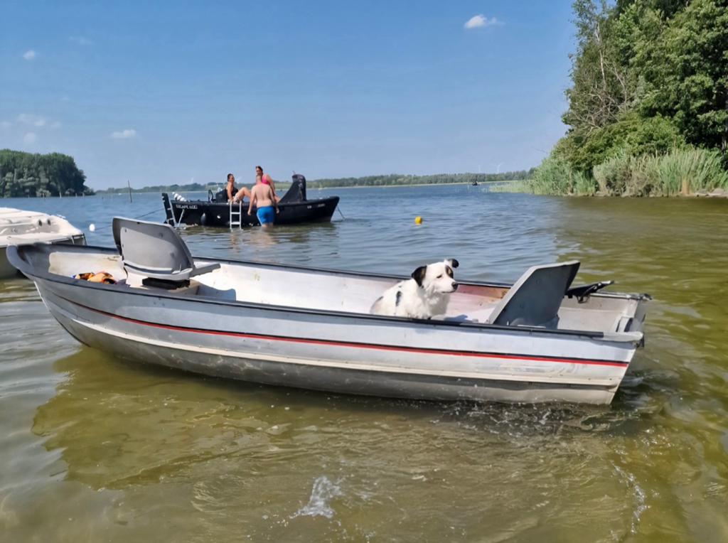Aluminium platbodem boot 3.70m met trailer, Boeken, Advies, Hulp en Training, Ophalen