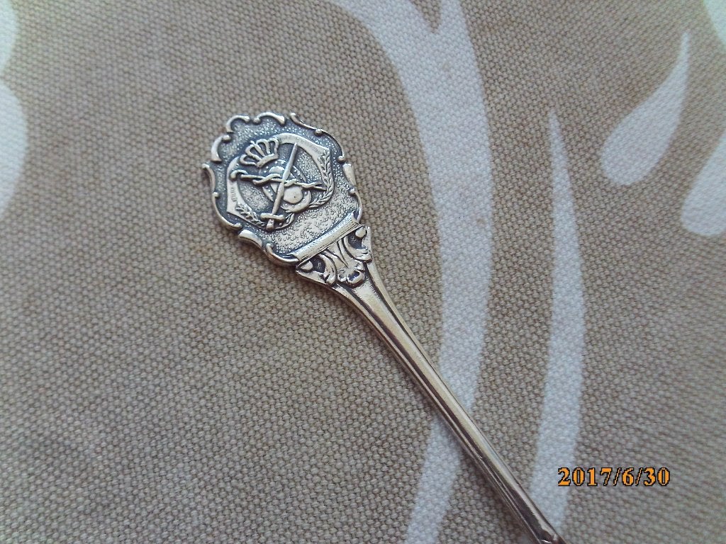 militair lepeltje Regiment Geneeskundige Troepen esculaap zw, Ophalen of Verzenden, Landmacht, Nederland, Overige typen