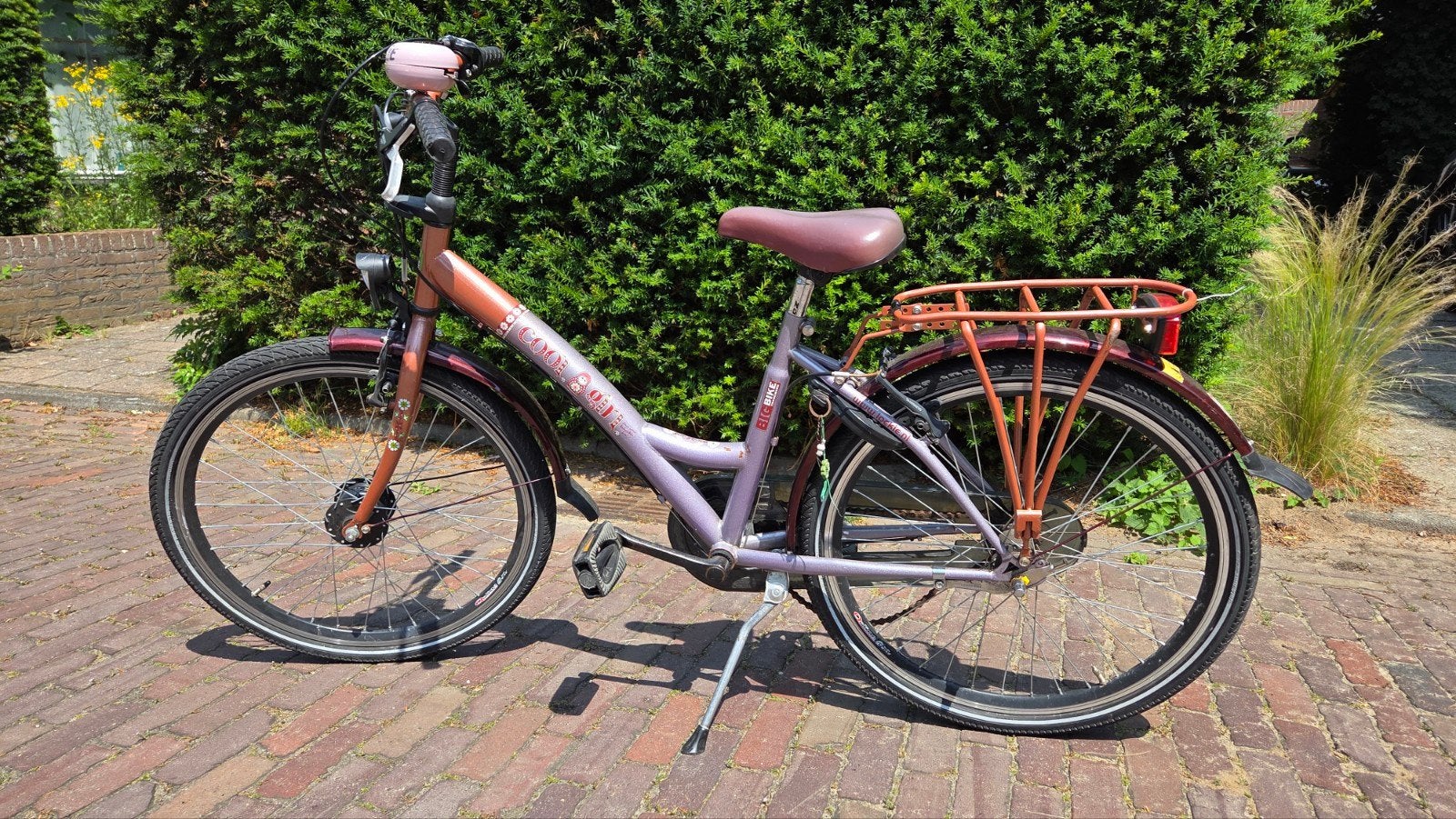 Meisjesfiets 24 inch Loekie, Ophalen, Terugtraprem, Loekie, Versnellingen