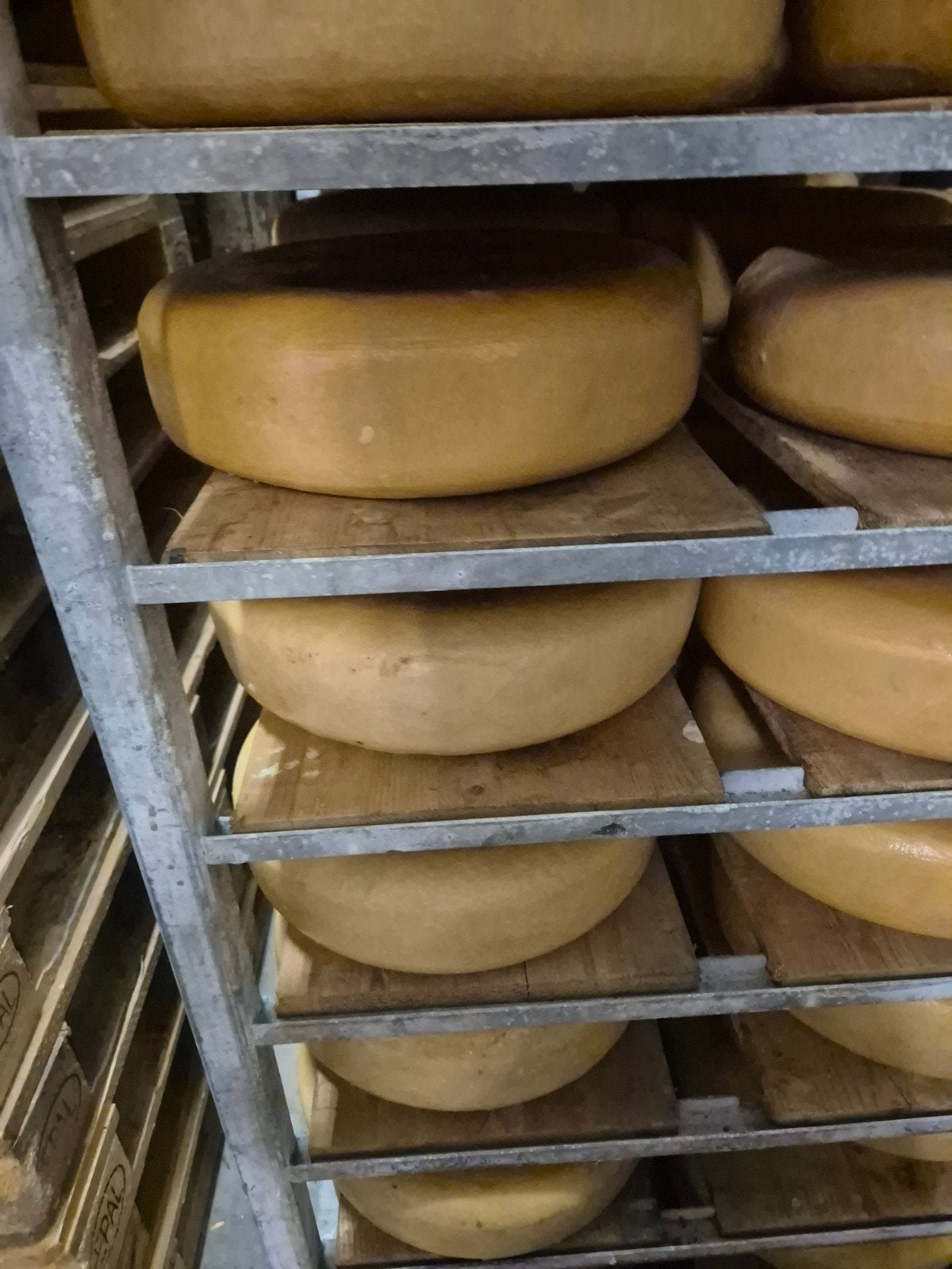 Oude Boeren Biologische Kaas - ca. 12 kg, Ophalen