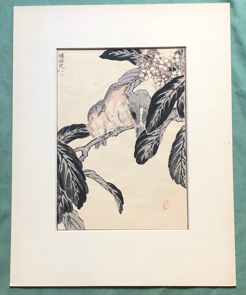 Japanse houtsnede Kōno Bairei Vogels, 1800 - 1899, Ophalen of Verzenden, Houtsnede, Flora en Fauna