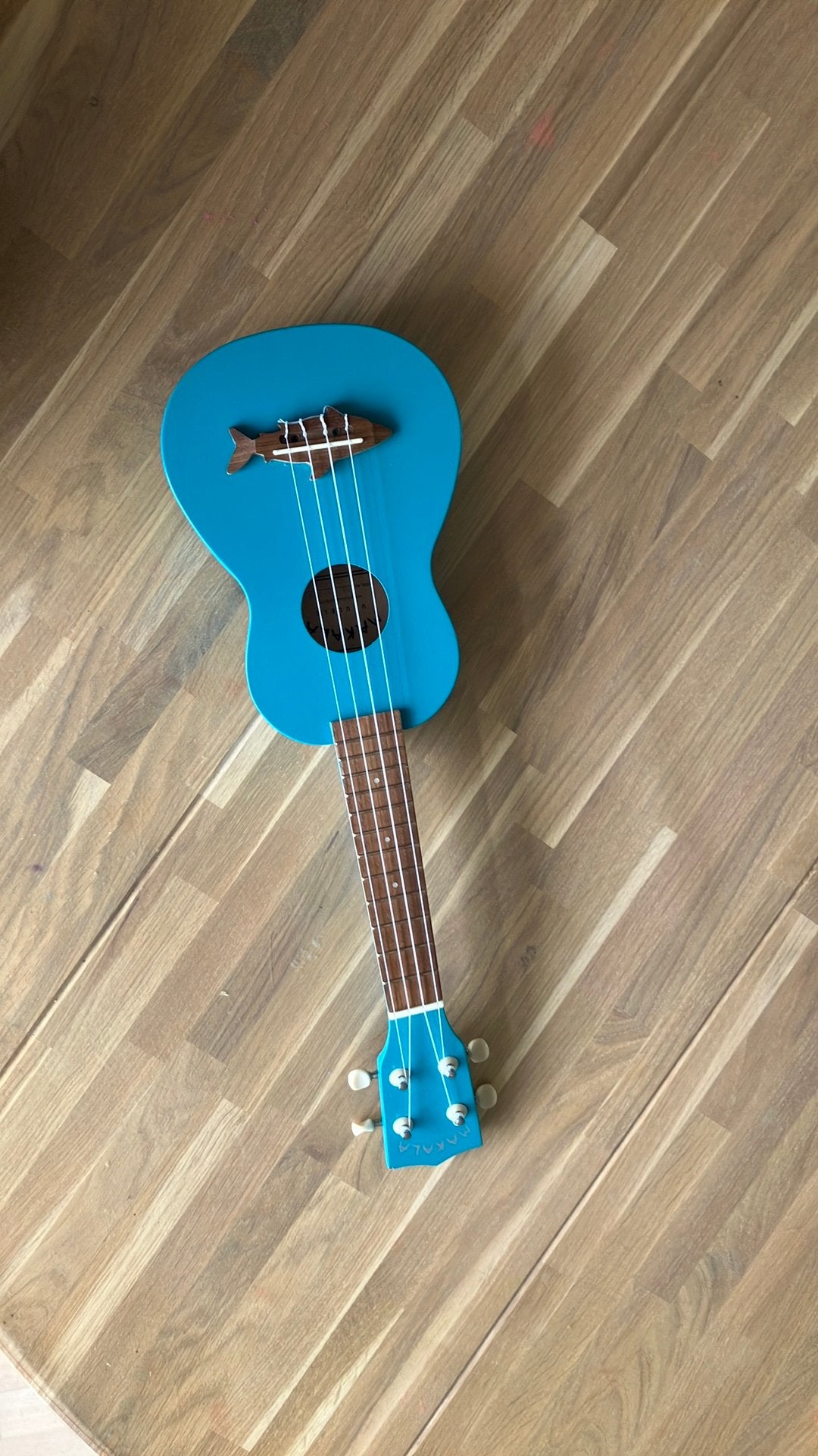 Kinderukelele Makala, Ophalen, Gebruikt, Overige typen