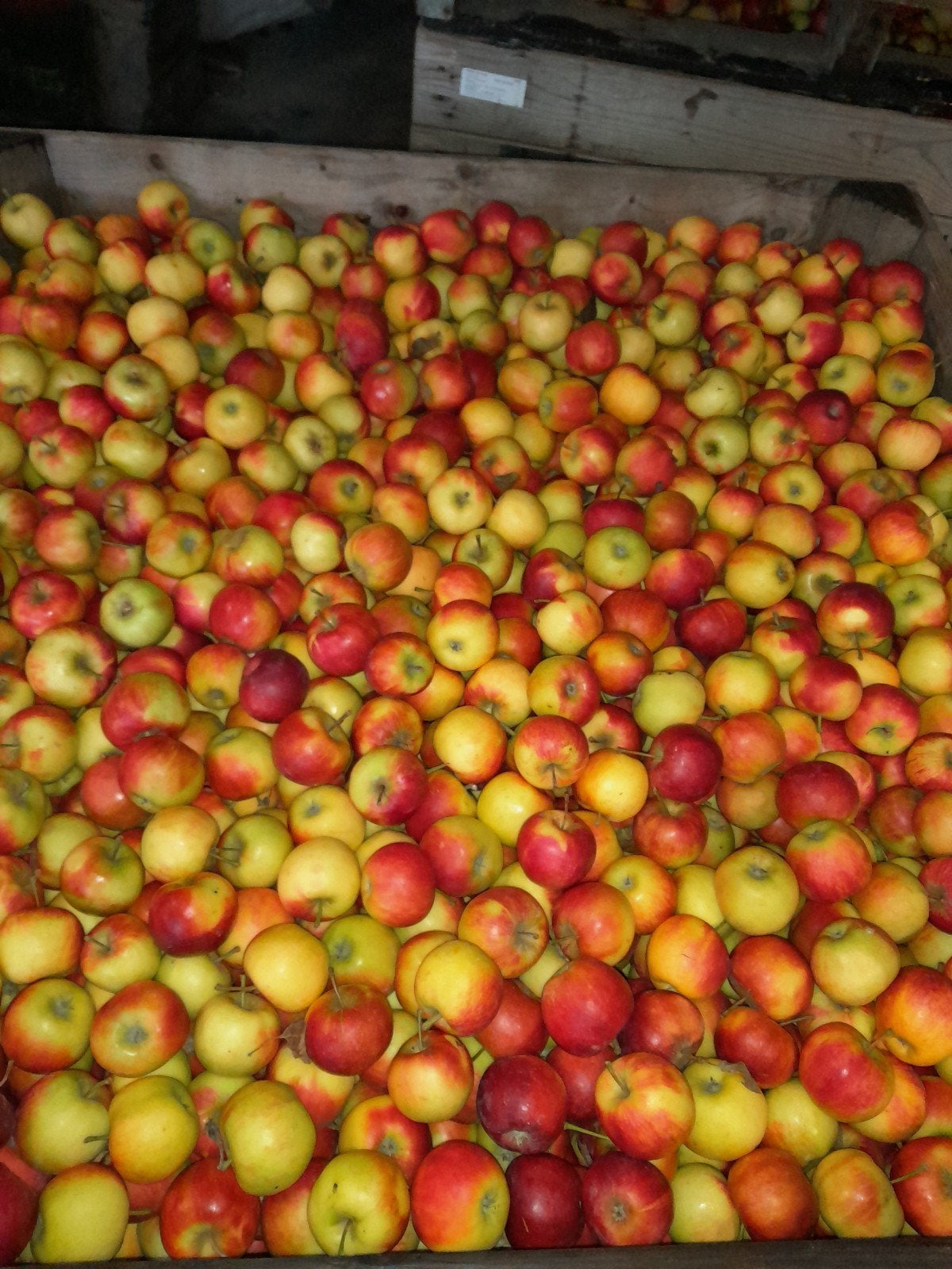 Elstar appels, Ophalen