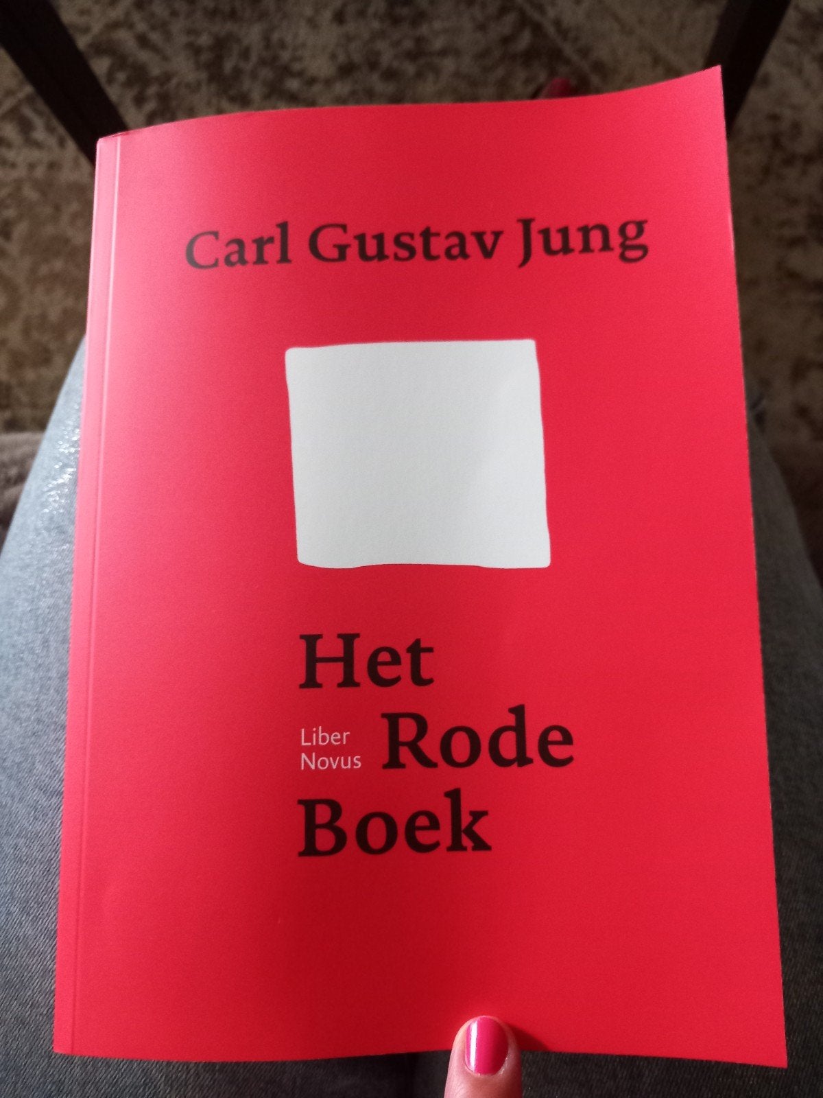 Het rode boek van Carl Gustav Jung, Ophalen of Verzenden, Nieuw, Overige uitgevers, Nederlands