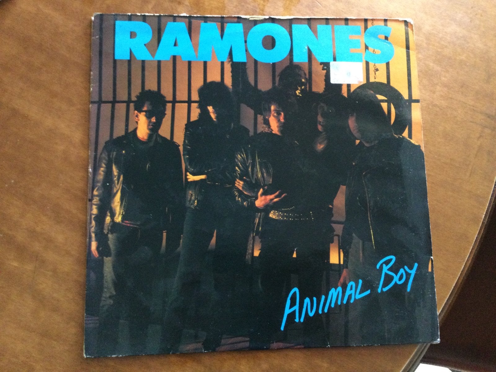 LP The Ramones, Ophalen of Verzenden, Gebruikt, 12 inch, Punk Rock