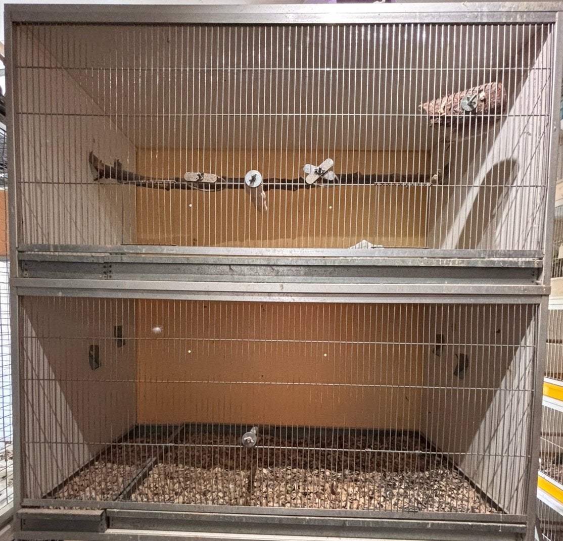 Van keulen vucht vluchtkooi broedkooi, Dieren en Toebehoren, Vogels | Hokken en Kooien, Ophalen, Zo goed als nieuw, Hout, Broedkooi of Kweekkooi