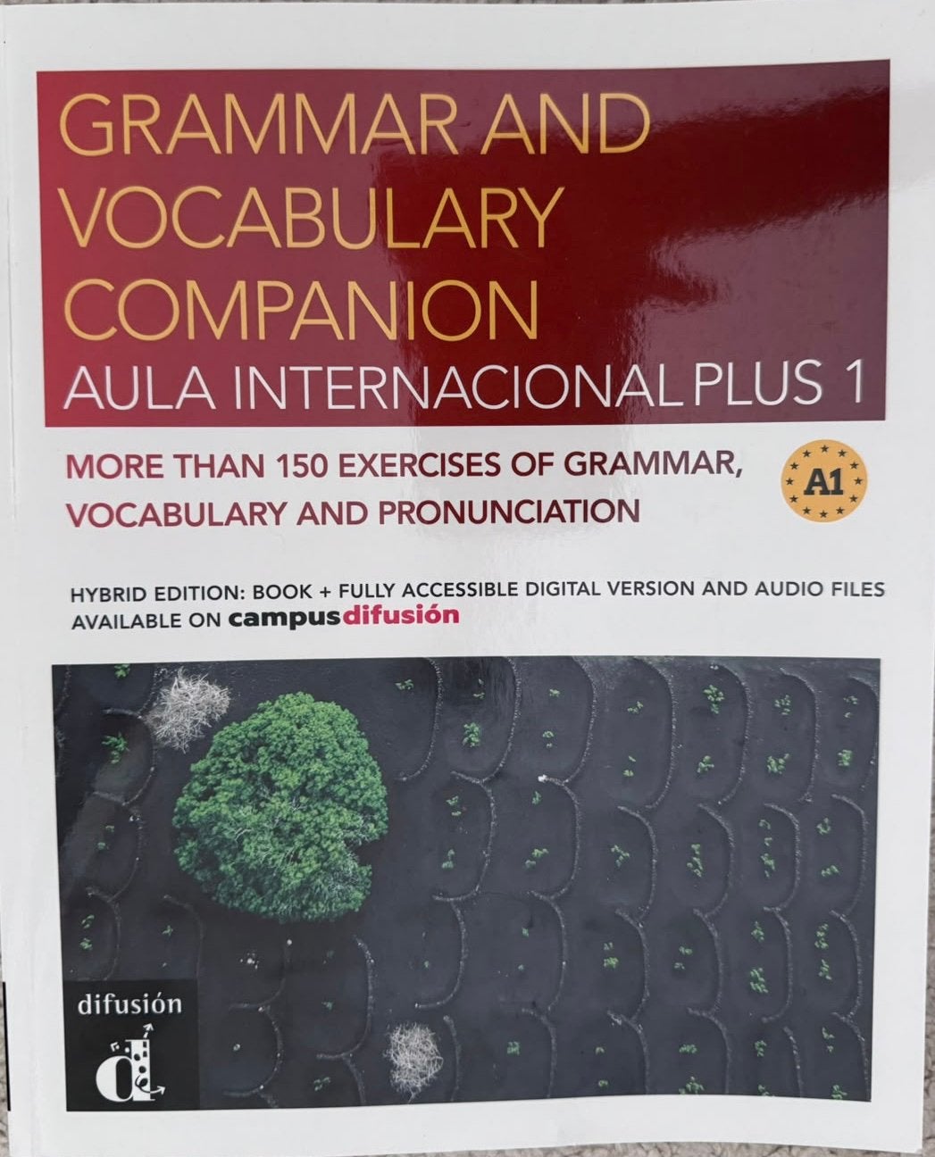 Aula Internacional Plus 1 Grammar and vocabulary companion, Ophalen of Verzenden, Zo goed als nieuw