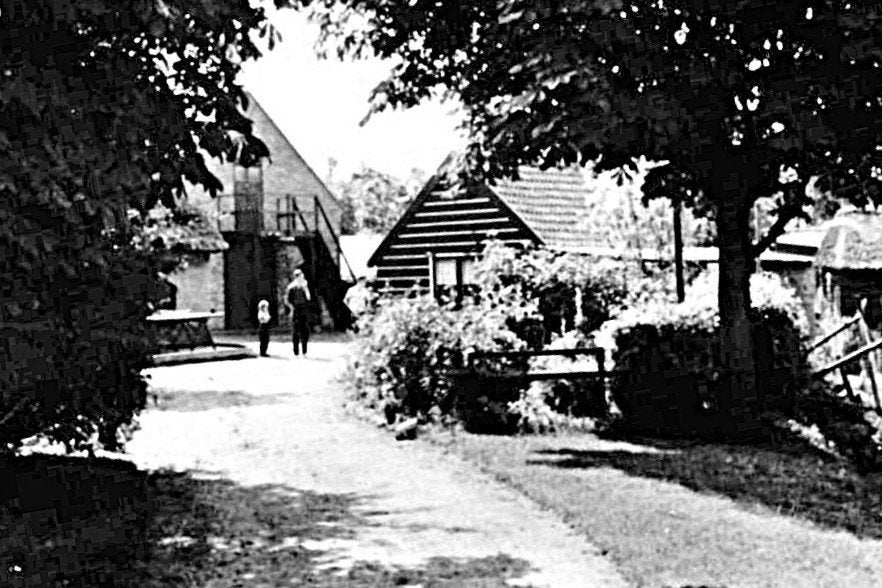 970215	Hulshorst	Hierden	De Waterlelie	1969	Onbeschreven, Ophalen of Verzenden, 1960 tot 1980, Ongelopen, Gelderland