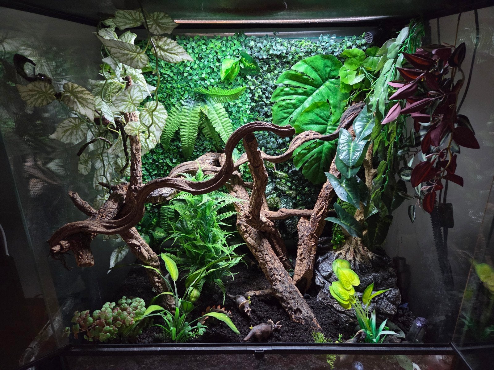 Compleet reptiel terrarium 80x50x80 - Nieuwprijs €1000+, Ophalen, Zo goed als nieuw, Terrarium of Paludarium