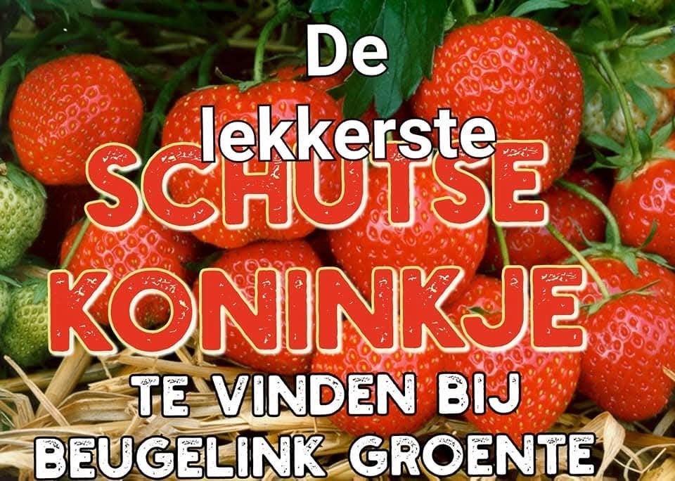 Aardbei zo vab het land, Ophalen