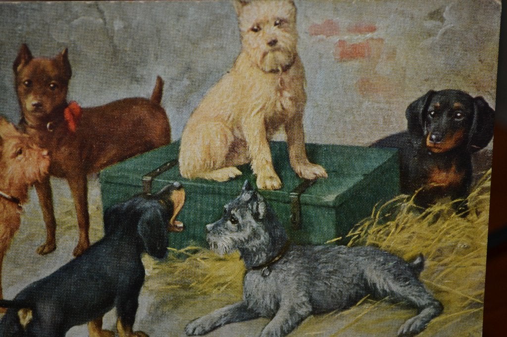 frankrijk 1935 honden jack russel teckel, Ophalen of Verzenden, 1920 tot 1940, Gelopen, Sterren en Beroemdheden