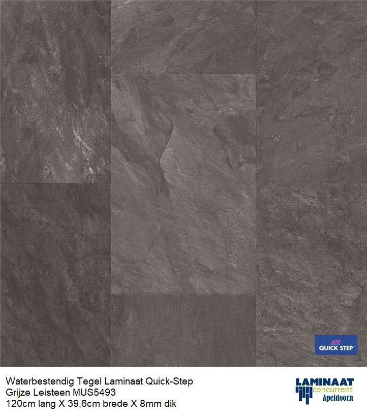 Waterbestendig Tegel Laminaat Grijze Leisteen 120cm X 40cm, 75 m² of meer, Nieuw, Grijs, Ophalen of Verzenden
