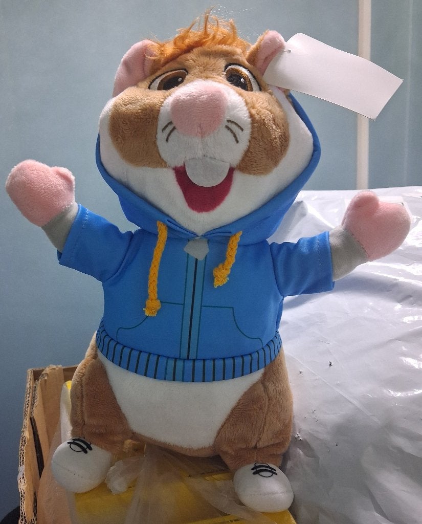 Rocky / sport hamster 2.0 van Albert Heijn *nieuw*, Albert Heijn, Hamster, Nieuw, Ophalen of Verzenden