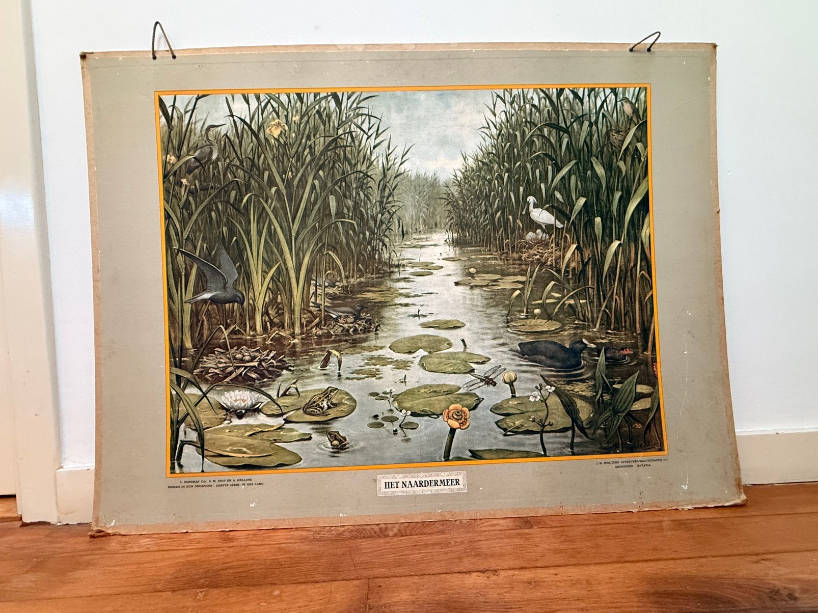 Originele Schoolplaat Het Naardermeer / In het bosch, Antiek en Kunst, Ophalen, Natuur en Biologie