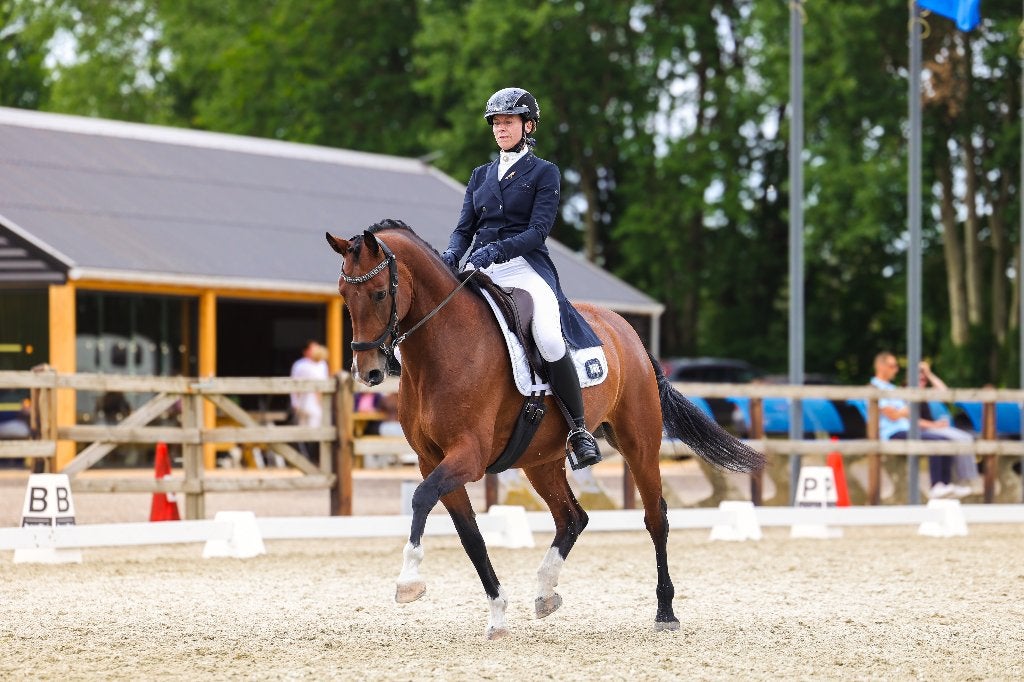 Ervaren instructeur aangeboden les dressuurles