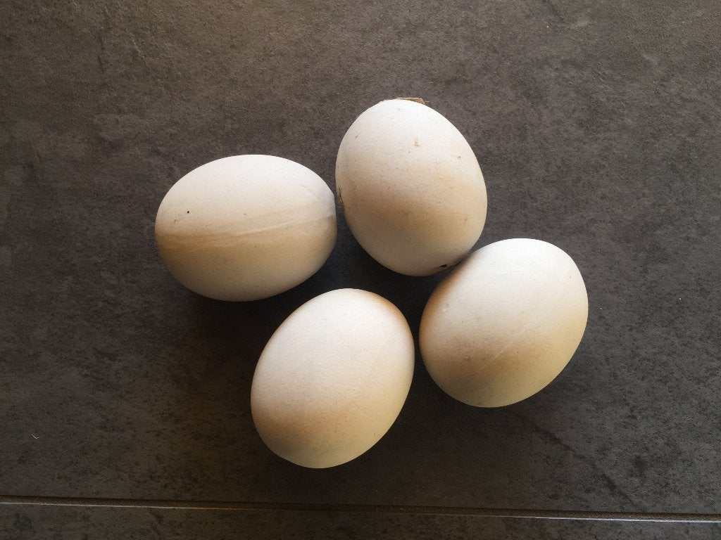 Namaak eenden eieren per drie of vier stuks €2,50 p. st., Ophalen of Verzenden