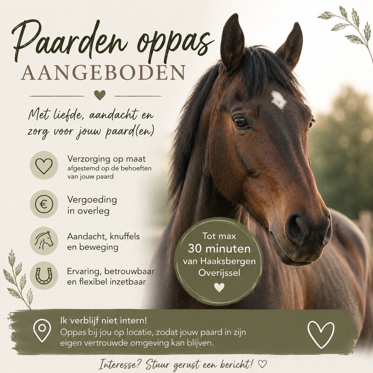 Paarden oppas aangeboden