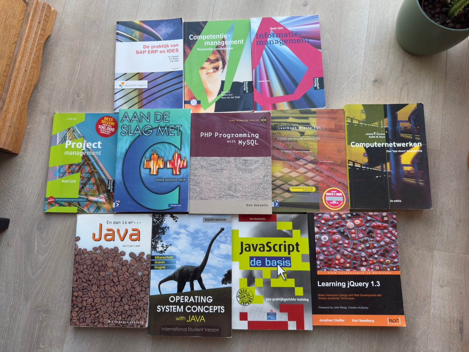Tal van ICT leerboeken, project- en competentie-management, Boeken, Ophalen, Gelezen, Overige onderwerpen