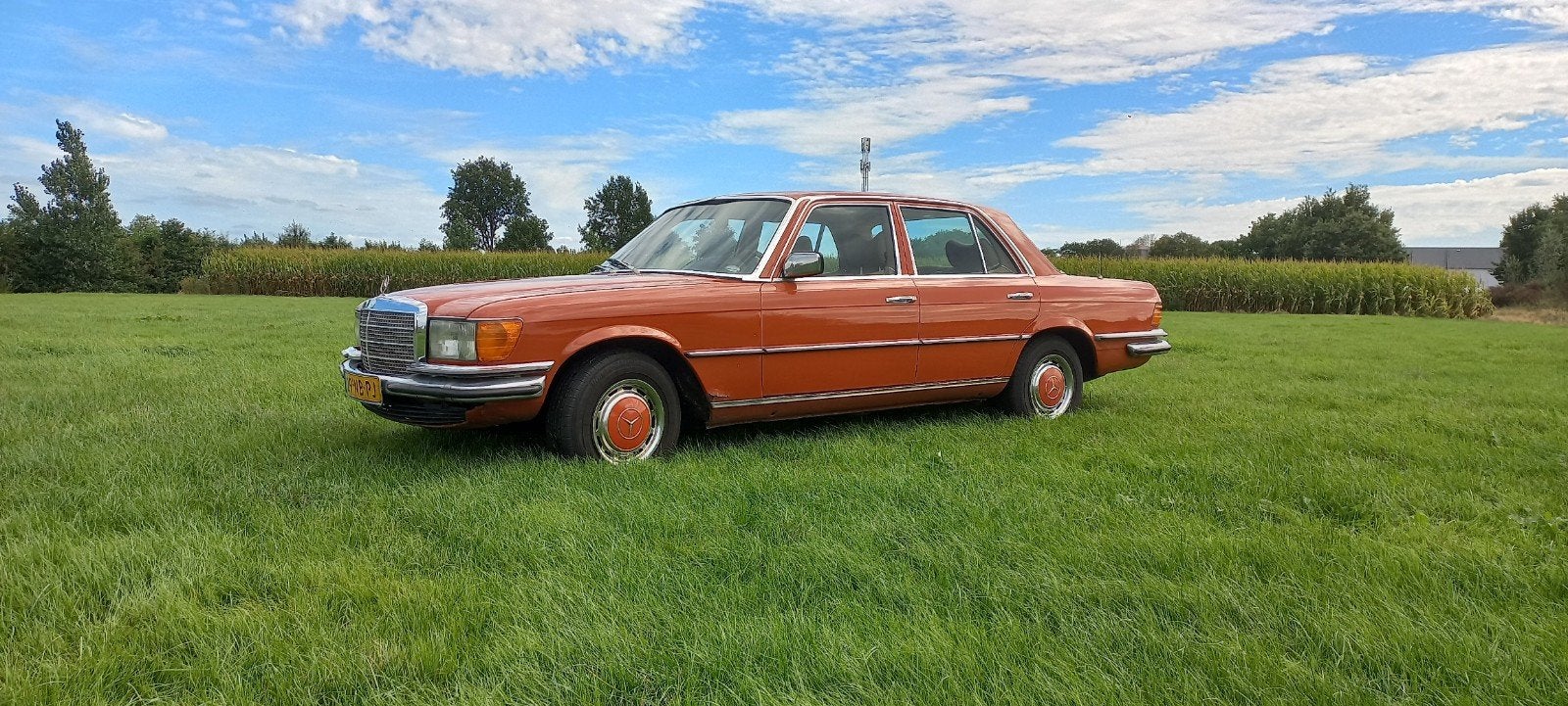 Mercedes-Benz Mercedes 1978, foto 4