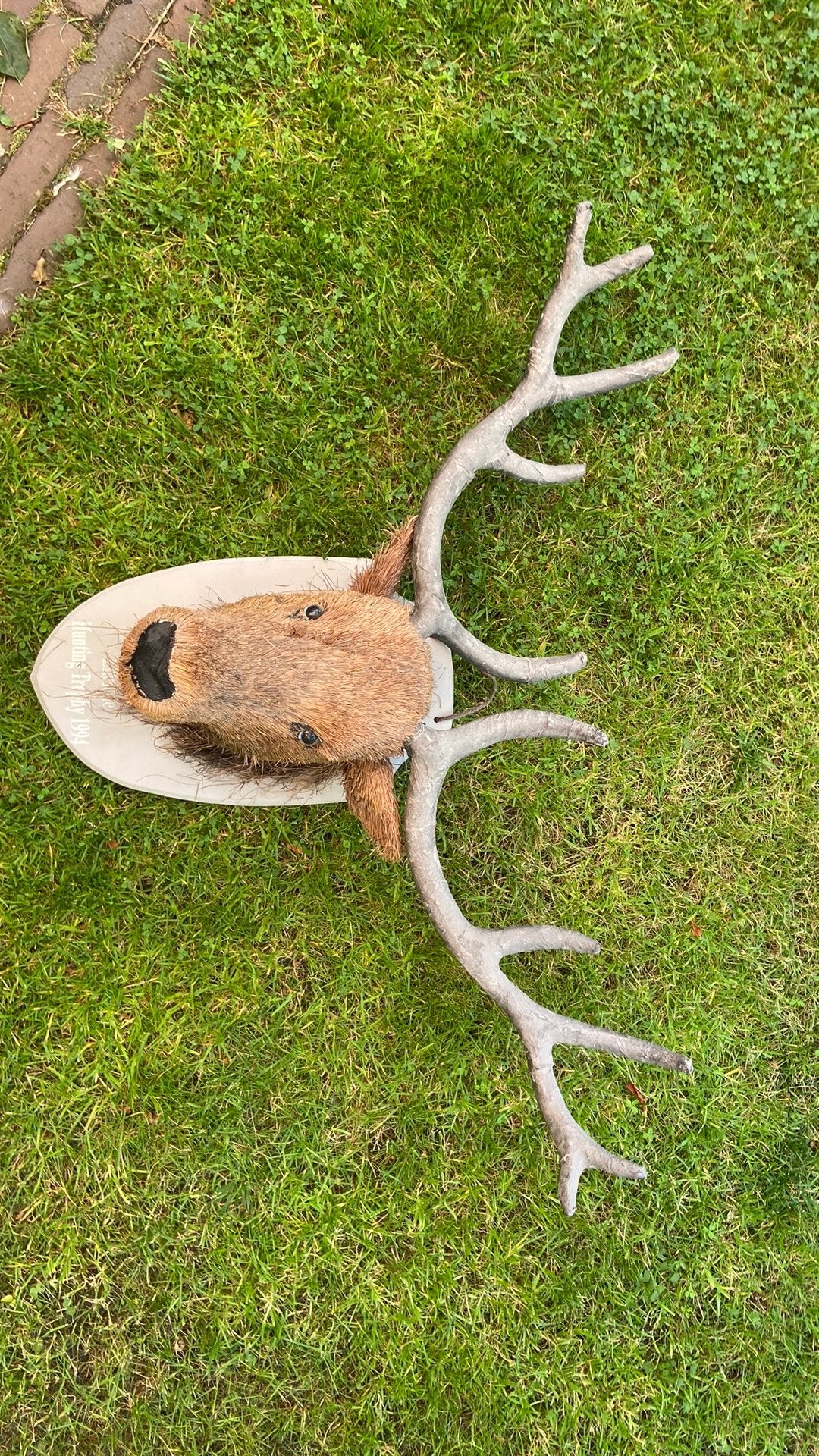 Lifestyle/HK living Decoratie Edelhert., Gebruikt, 80 cm, Decoratieobject, Ophalen of Verzenden