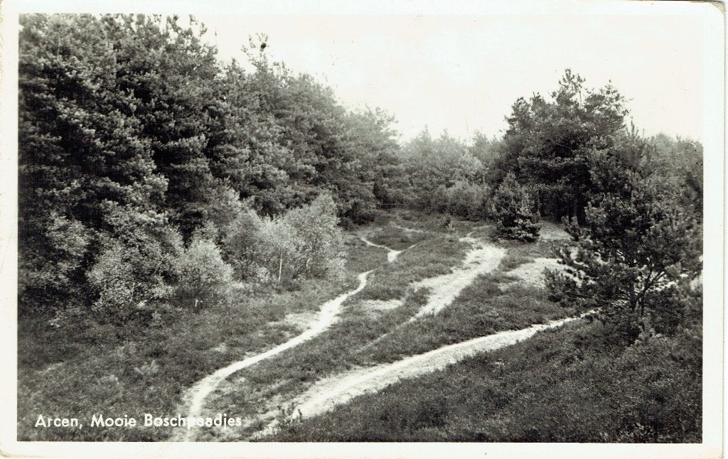 Ansichtkaart Arcen Mooie Boschpaadjes (Regio Venlo), Ophalen of Verzenden, 1940 tot 1960, Gelopen, Limburg