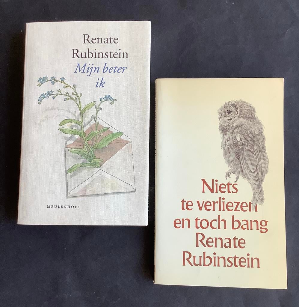 RENATE RUBINSTEIN - 2 titels, Boeken, Ophalen of Verzenden, Gelezen
