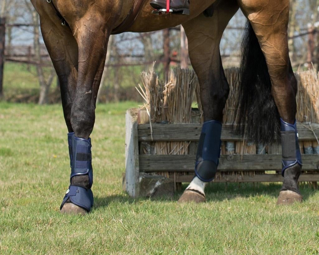 Eventing beenbeschermers Front, Dieren en Toebehoren, Qhp, Nieuw, Maasbracht, Ophalen of Verzenden