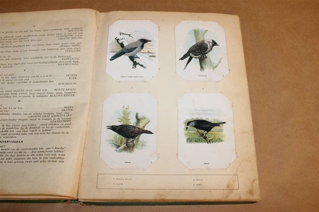 Vogelalbum — Tiktak Koffie — 100 Vogels — Compleet [1925], Boeken, Ophalen of Verzenden, Gelezen