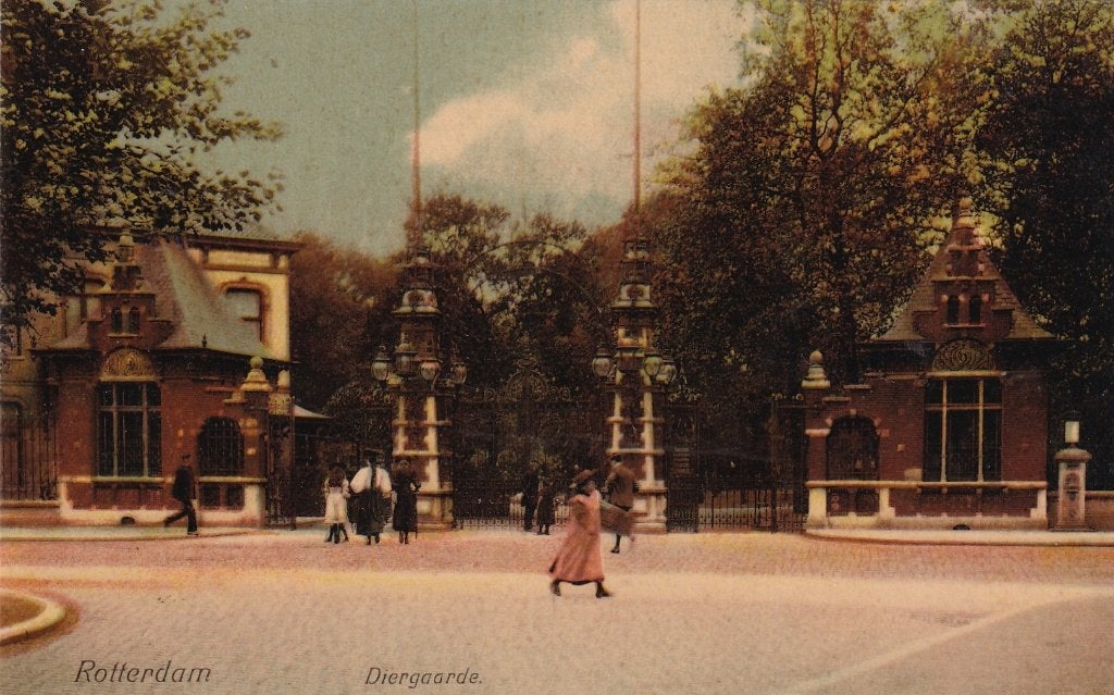 Oude Ansichtkaart Rotterdam Diergaarde (voor 1920), Ophalen of Verzenden, Voor 1920, Gelopen, Zuid-Holland