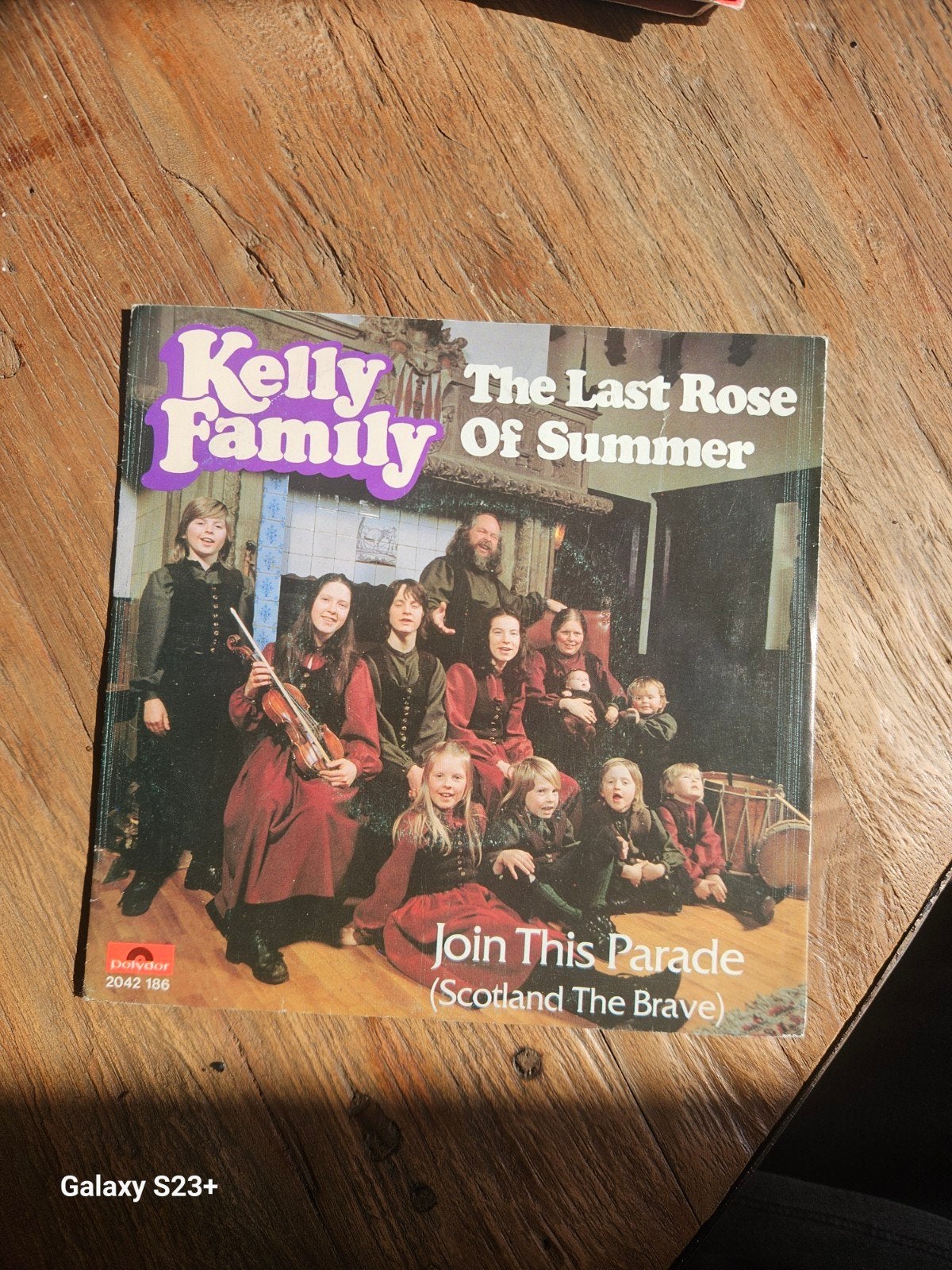The Kelly Family - The Last Rose Of Summer /Join This Parade, Gebruikt, 7 inch, Ophalen of Verzenden, Pop