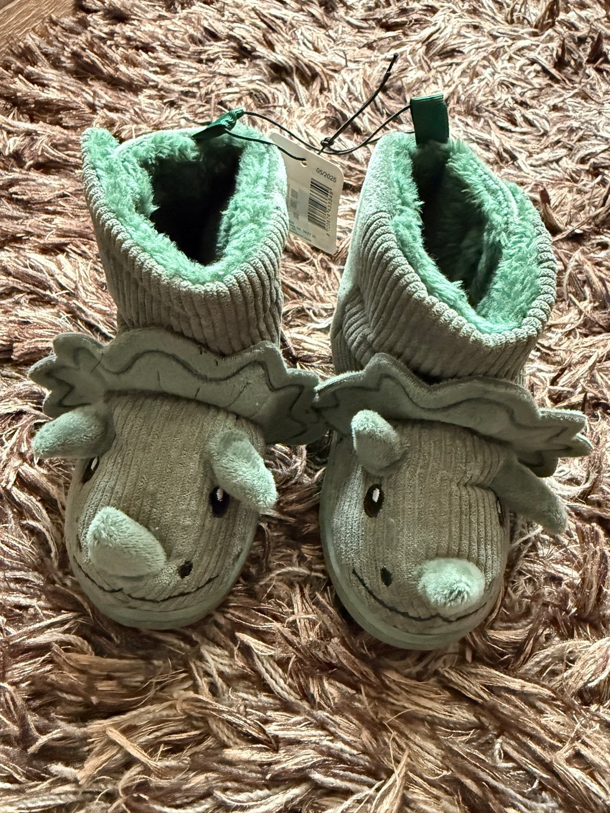 Nieuwe Dino Pantoffels Maat 24/25 - Groen, Ophalen of Verzenden, Nieuw, Jongen of Meisje, Overige typen