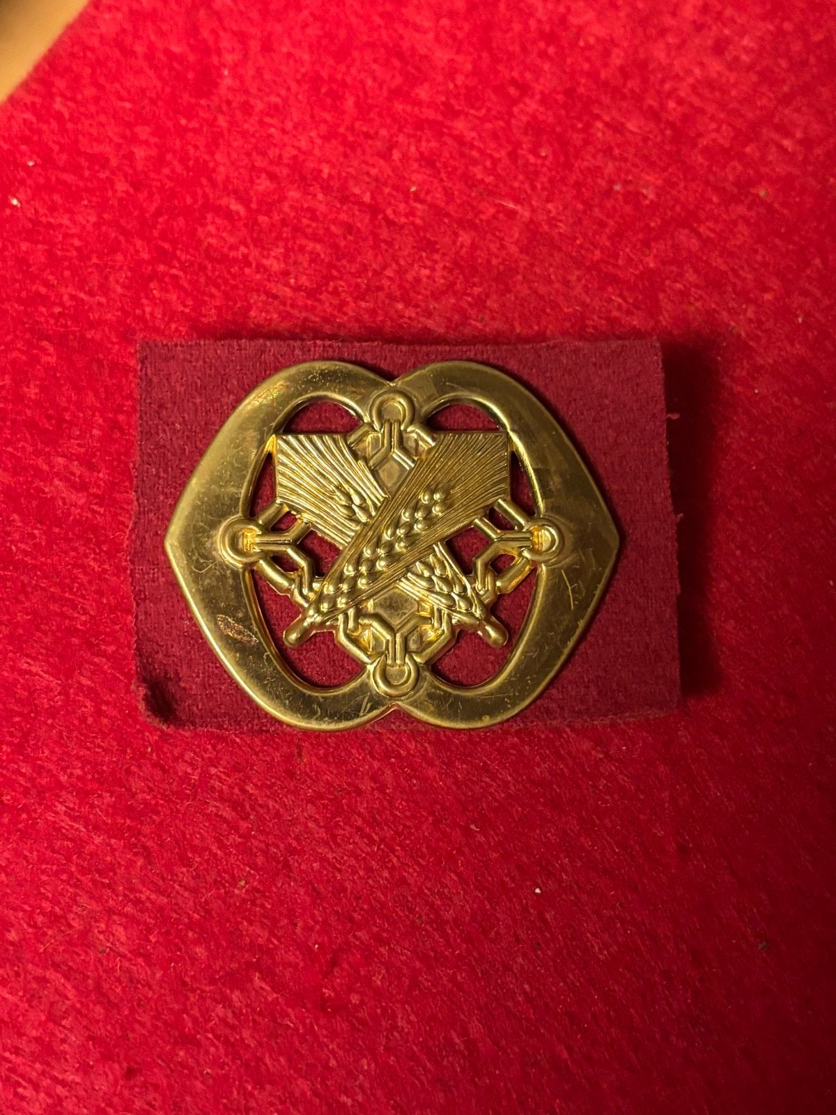 Baret embleem Korps Intendance/Verplegingstroep, Verzenden, Landmacht, Nederland, Kist of Geocache