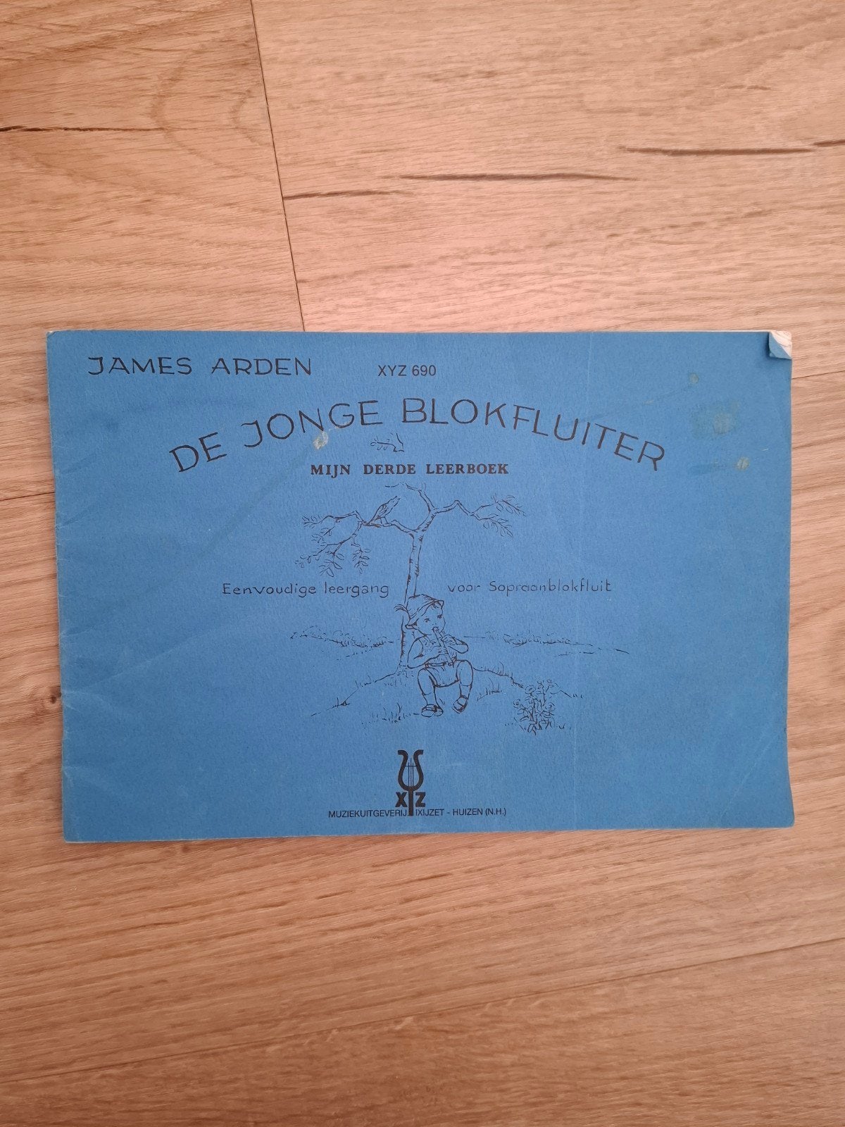 De jongens blokfluiter, Ophalen of Verzenden