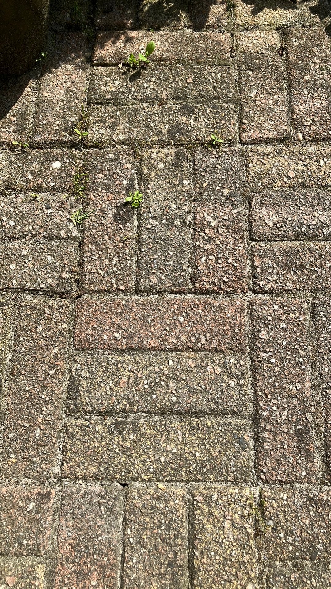 Dikformaat betonklinkers GRATIS, Ophalen, Gebruikt, Klinkers, 10 m² of meer