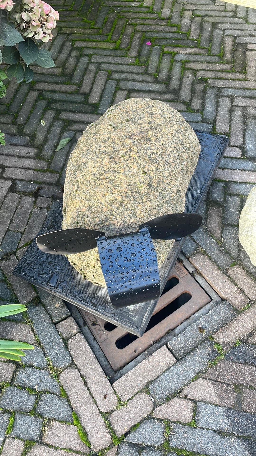 Schapenkop op kei, Ophalen, Zo goed als nieuw