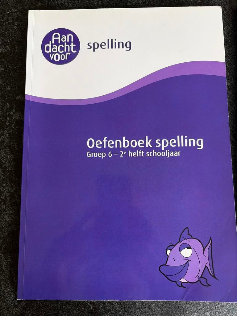 Oefenboeken Spelling & Rekenen Groep 6, Ophalen of Verzenden, Zo goed als nieuw, Overige niveaus, Nederlands
