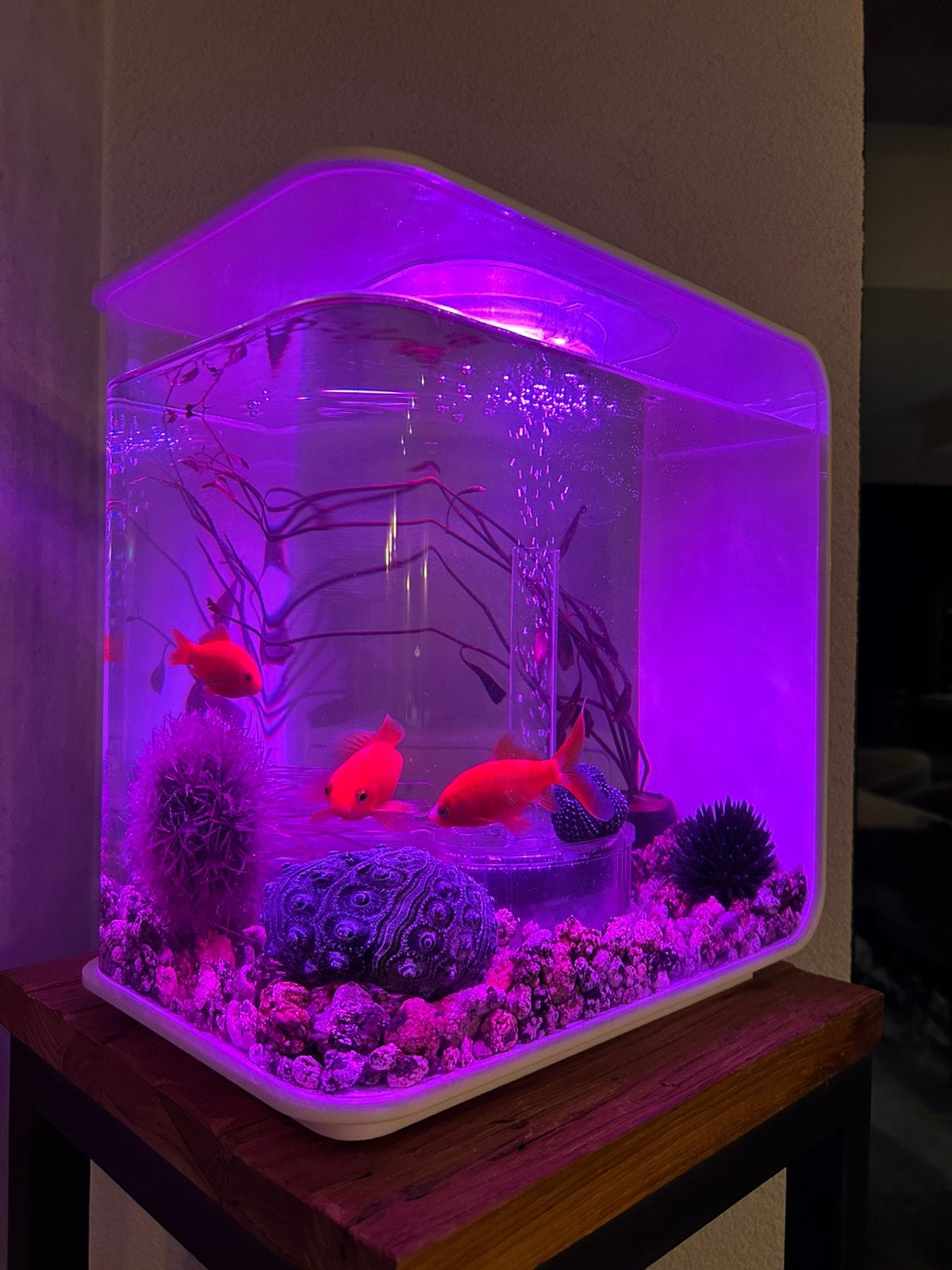 Biorb Aquarium 15 liter, Ophalen, Inclusief controller, Gebruikt, Overige merken