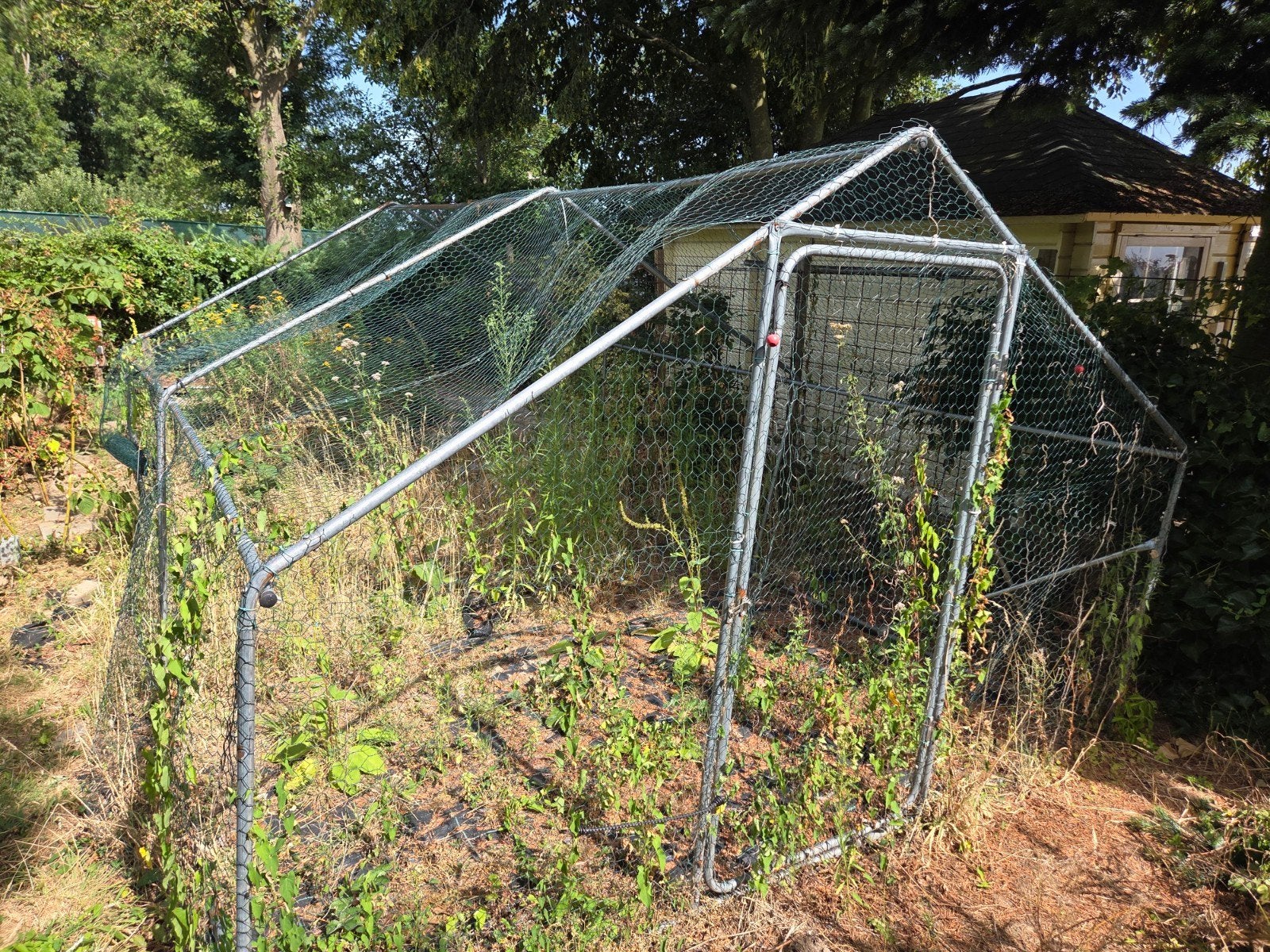 Kippenren / kooi voor moestuin of dieren zoals kippen, Ophalen, Gebruikt, Metaal, Overige typen