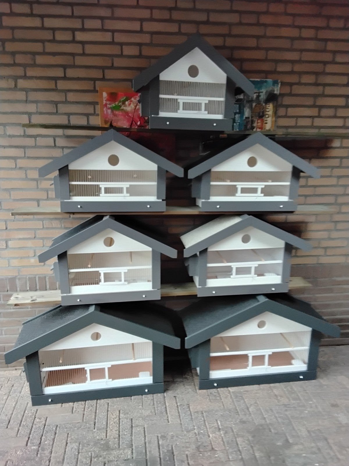 Nieuwe zangkooien vogelkooien, Dieren en Toebehoren, Ophalen, Nieuw, Hout, Vogelkooi