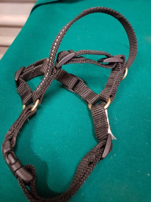 honden tuigjes, Ophalen of Verzenden, 'T Olde Gre-j, Info@toldegrej.nl, Endepoelstraat 20f Didam