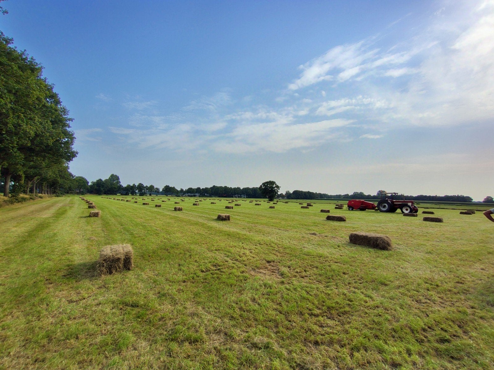 Kleine hooi en stro  baaltjes pakjes persen, Dieren en Toebehoren, Stalling en Weidegang