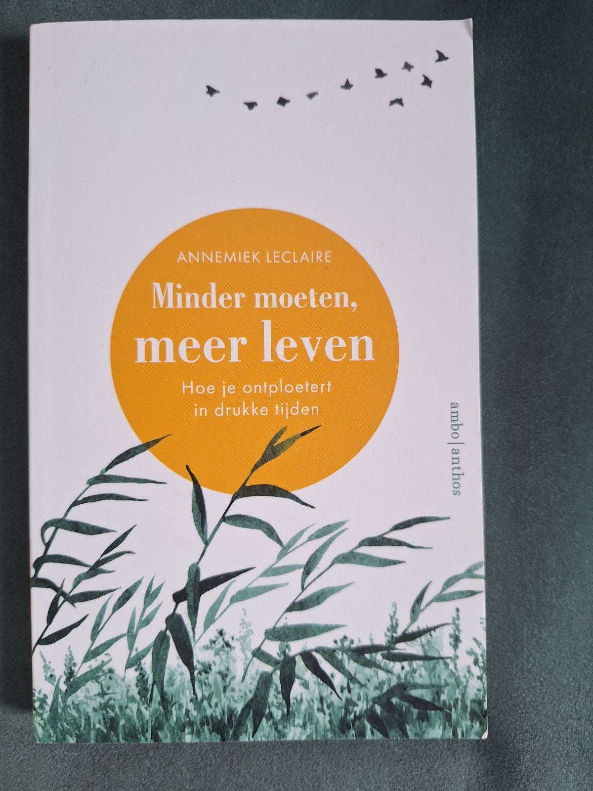 Annemiek Leclaire - Minder moeten, meer leven, Boeken, Ophalen of Verzenden, Gelezen, Annemiek Leclaire