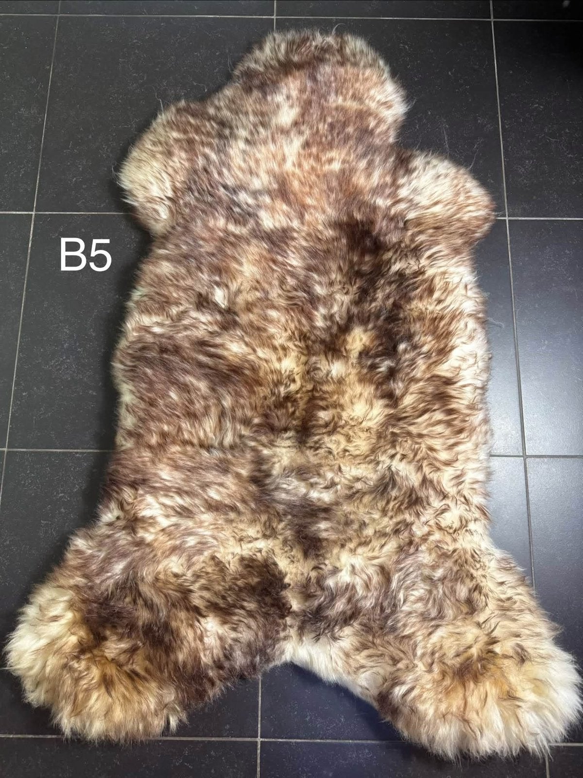 B5) XXXL Bruin-Witte Schapenvacht 150x100cm Mouflon camper, Wol, Nieuw, Ophalen of Verzenden, 102 cm