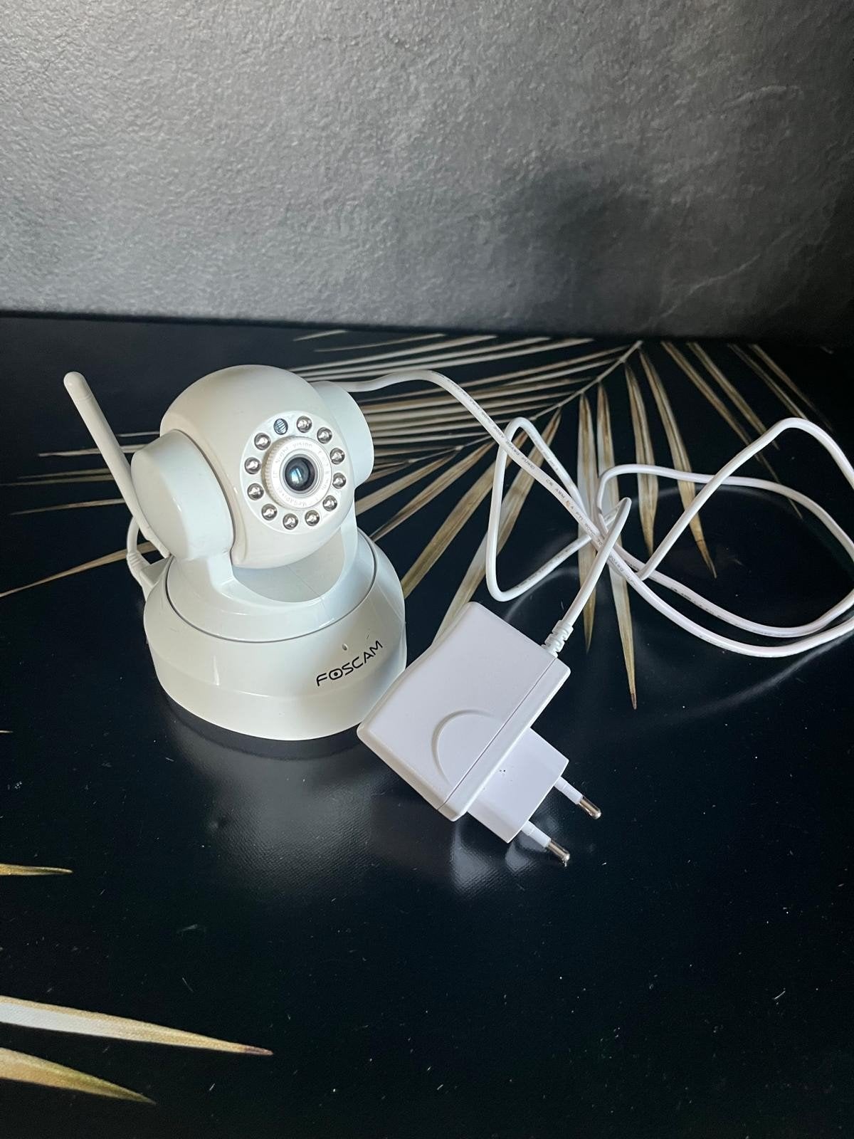 Foscam IP Camera - Binnencamera met Nachtzicht, Ophalen of Verzenden, Zo goed als nieuw, Binnencamera
